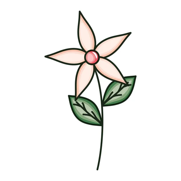 Belle fleur avec des feuilles icône décorative — Image vectorielle