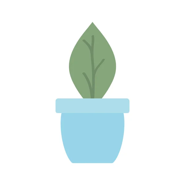 Huis plant in keramische pot — Stockvector