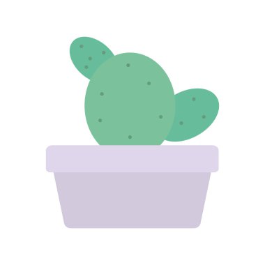 kare seramik pot egzotik CACTU bitki