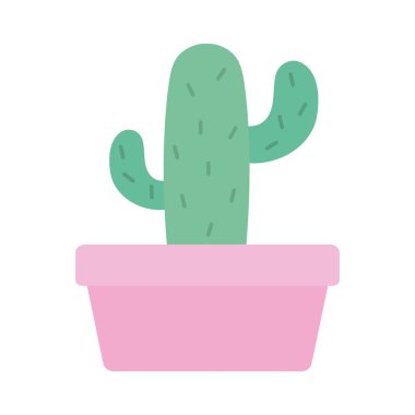 kare seramik pot egzotik CACTU bitki