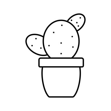 Seramik pot egzotik CACTU bitki