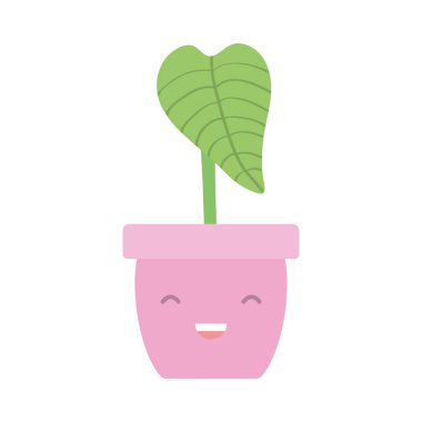 Seramik pot Kawaii karakter ev bitki