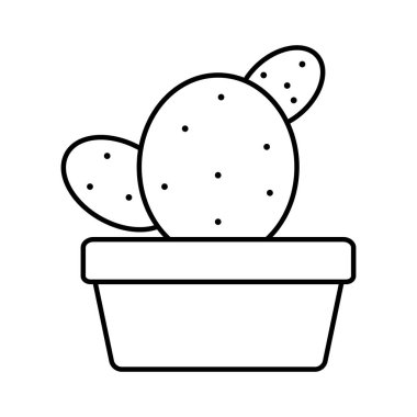 kare seramik pot egzotik CACTU bitki