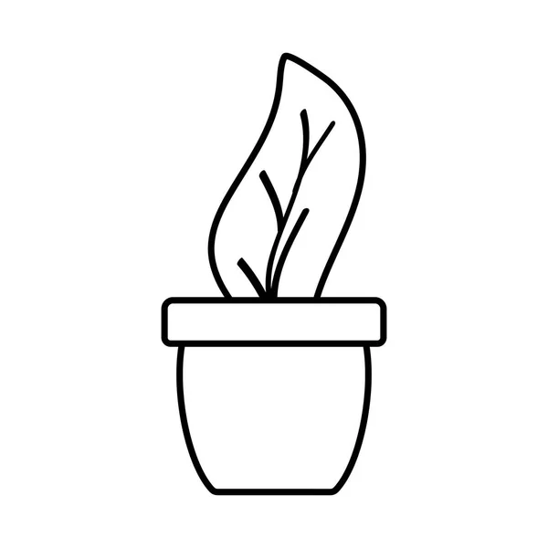 Planta de casa en maceta de cerámica — Vector de stock