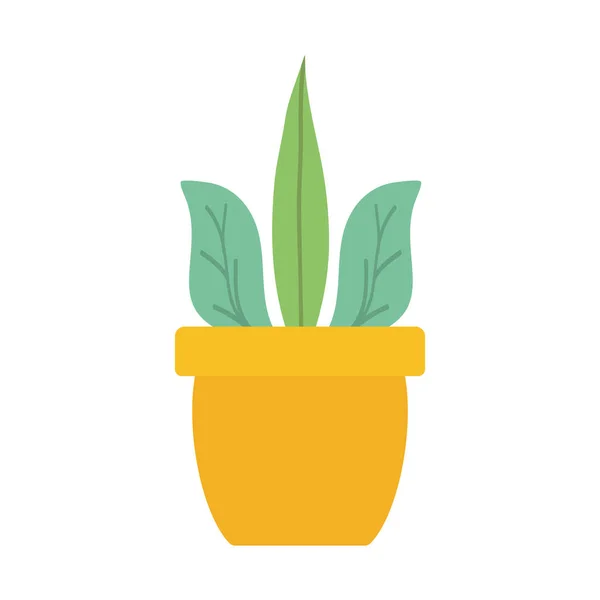 Domovní rostlina v keramickém hrnci — Stockový vektor