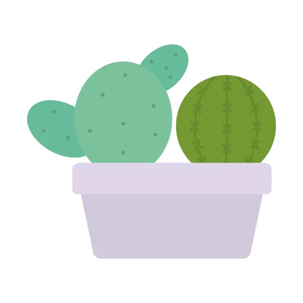 Plantas de cactus exóticas en maceta de cerámica cuadrada — Vector de stock