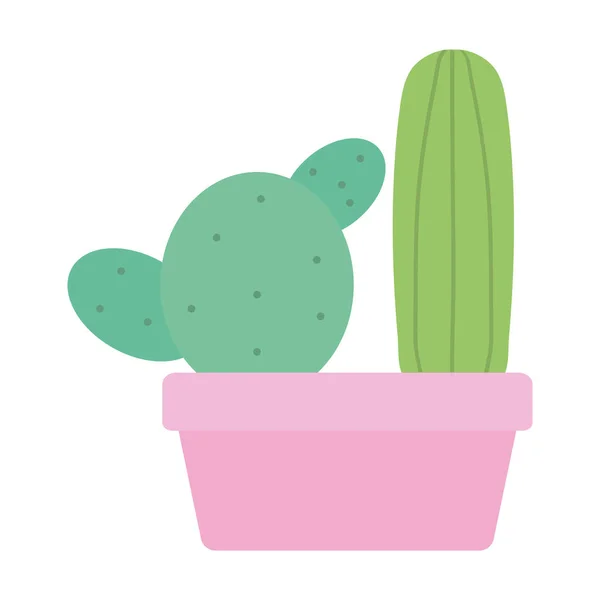 Plantas de cactus exóticas en maceta de cerámica cuadrada — Vector de stock