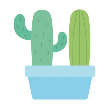 kare seramik pot egzotik kaktüs bitkiler