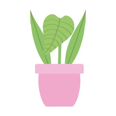 Seramik tencerede ev fabrikası