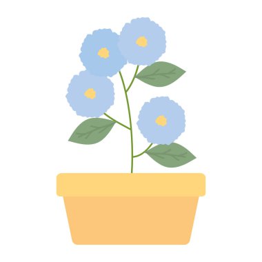 kare seramik pot dekorasyon çiçekler Bahçe