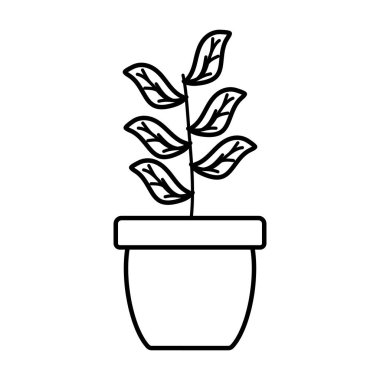 Seramik tencerede ev fabrikası