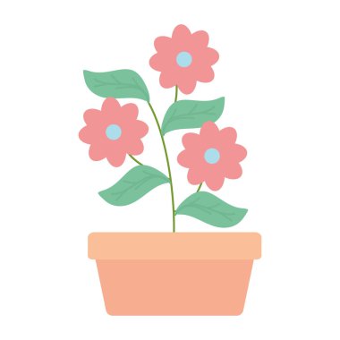 kare seramik pot dekorasyon çiçekler Bahçe