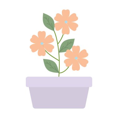 kare seramik pot dekorasyon çiçekler Bahçe