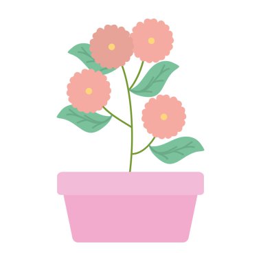 kare seramik pot dekorasyon çiçekler Bahçe