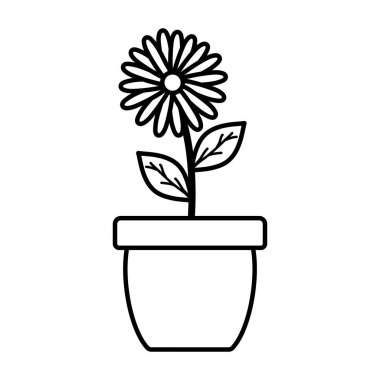 Seramik tencerede sevimli ayçiçeği ve yaprakların bitki