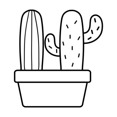 kare seramik pot egzotik kaktüs bitkiler