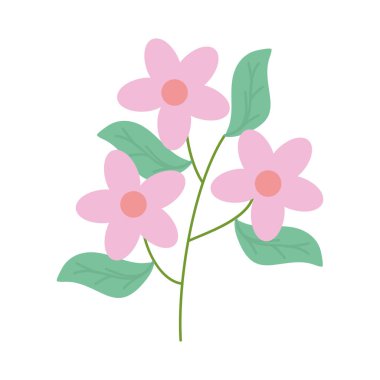 bahçe bitki dekoratif simge çiçek