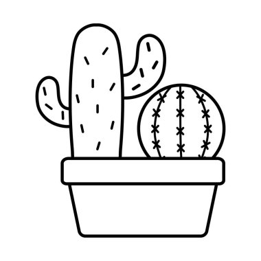 kare seramik pot egzotik kaktüs bitkiler