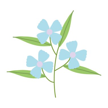 bahçe bitki dekoratif simge çiçek