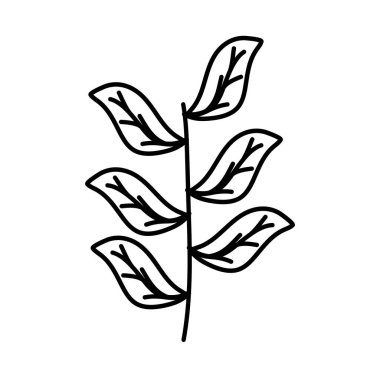 Leafs bitkiler bahçe ile şube