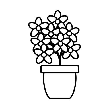 seramik çömlek dekorasyon çiçekler Bahçe