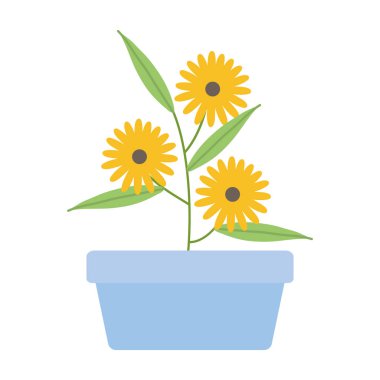 kare seramik pot dekorasyon ayçiçeği bahçe