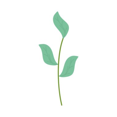 Leafs bitkiler bahçe ile şube