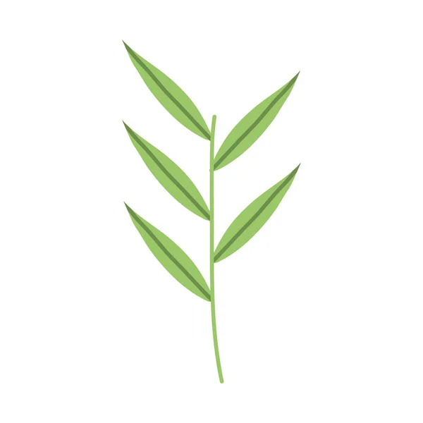 Zweig mit Blättern Pflanzen Garten — Stockvektor