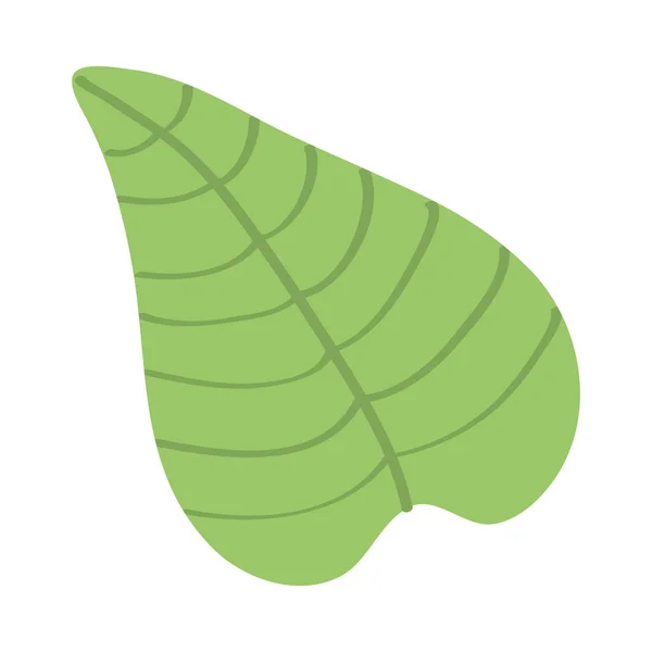 Planta de hojas jardín naturaleza icono — Vector de stock