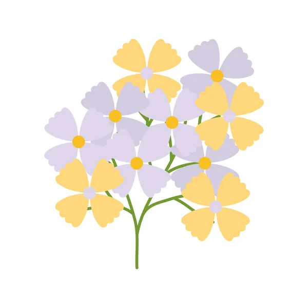 Kwiat kwiaty ogród ozdobny roślina — Wektor stockowy