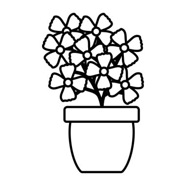 seramik çömlek dekorasyon çiçekler Bahçe