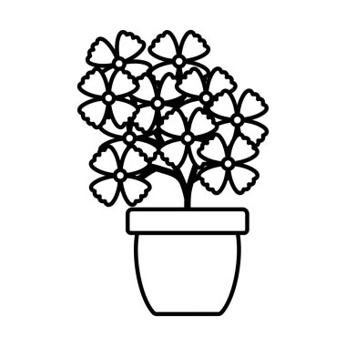 seramik çömlek dekorasyon çiçekler Bahçe