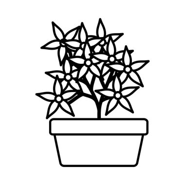 kare seramik pot dekorasyon çiçekler Bahçe