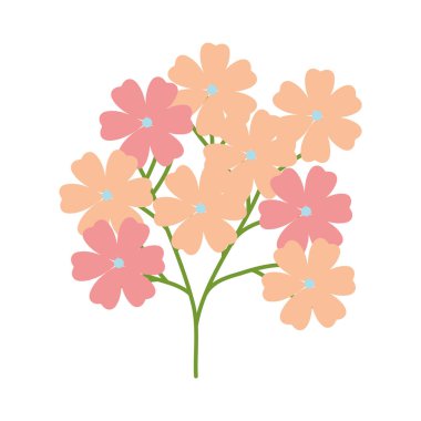 bahçe bitki dekoratif simge çiçek