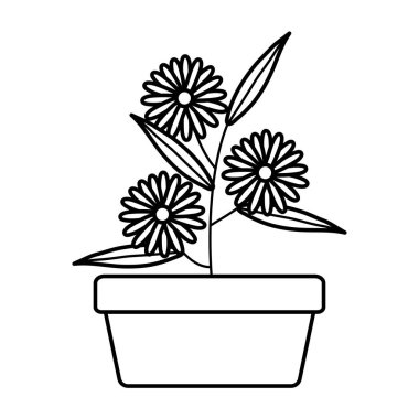 kare seramik pot dekorasyon ayçiçeği bahçe