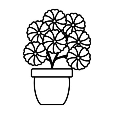 seramik çömlek dekorasyon çiçekler Bahçe