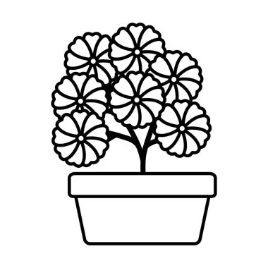 kare seramik pot dekorasyon çiçekler Bahçe