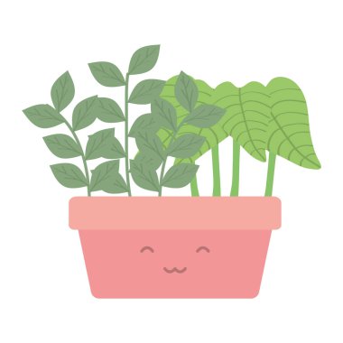 kare seramik pot Kawaii karakter ev bitki