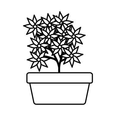 kare seramik pot dekorasyon çiçekler Bahçe