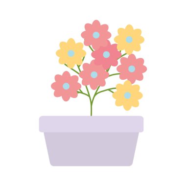 kare seramik pot dekorasyon çiçekler Bahçe