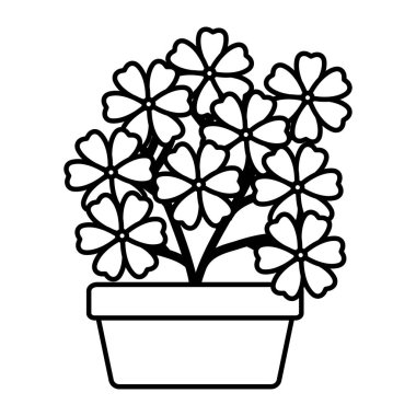 kare seramik pot dekorasyon çiçekler Bahçe