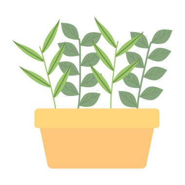 kare seramik pot ev bitki