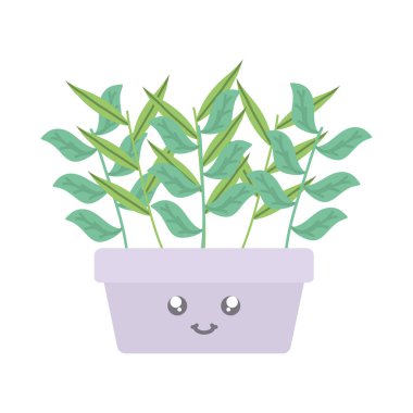 kare seramik pot Kawaii karakter ev bitki