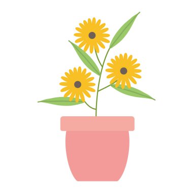 seramik çömlek dekorasyon ayçiçeği bahçe