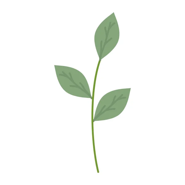 잎 식물 정원 분기 — 스톡 벡터