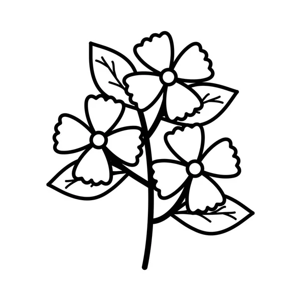 Милые цветы и листья садового растения икона — стоковый вектор