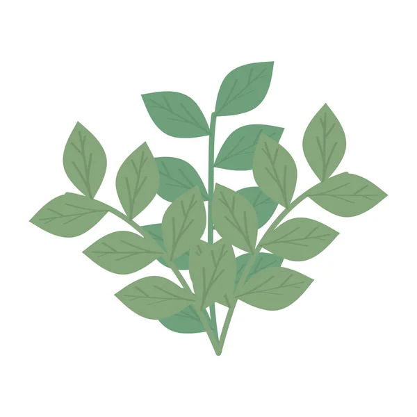 Listové rostliny ikona přírody — Stockový vektor