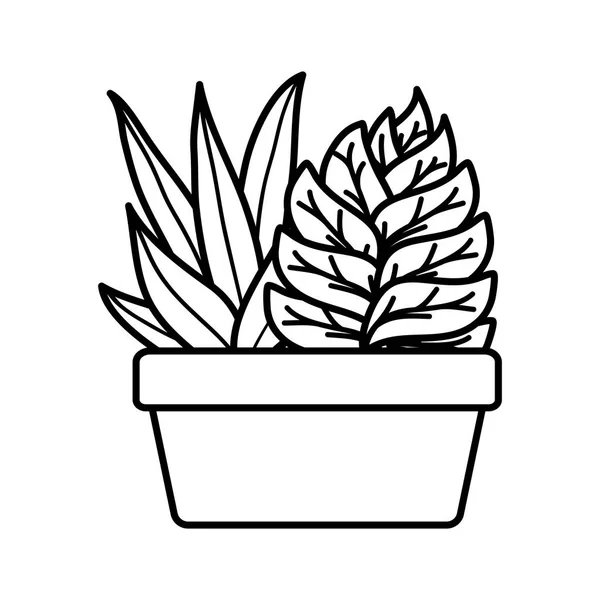 Planta de casa en maceta de cerámica cuadrada — Vector de stock