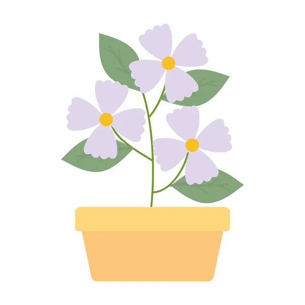 광장 세라믹 냄비 장식꽃과 잎 정원 — 스톡 벡터