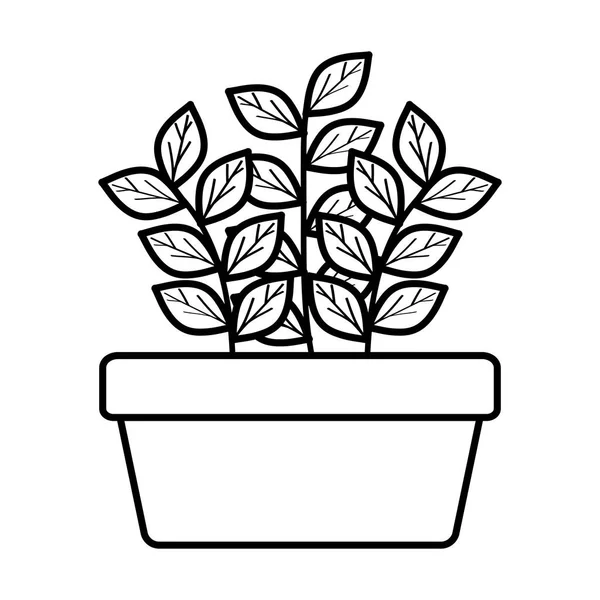 Zimmerpflanze im quadratischen Keramiktopf — Stockvektor